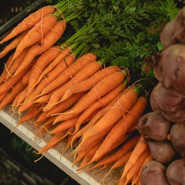Photo carrot - root vegetables