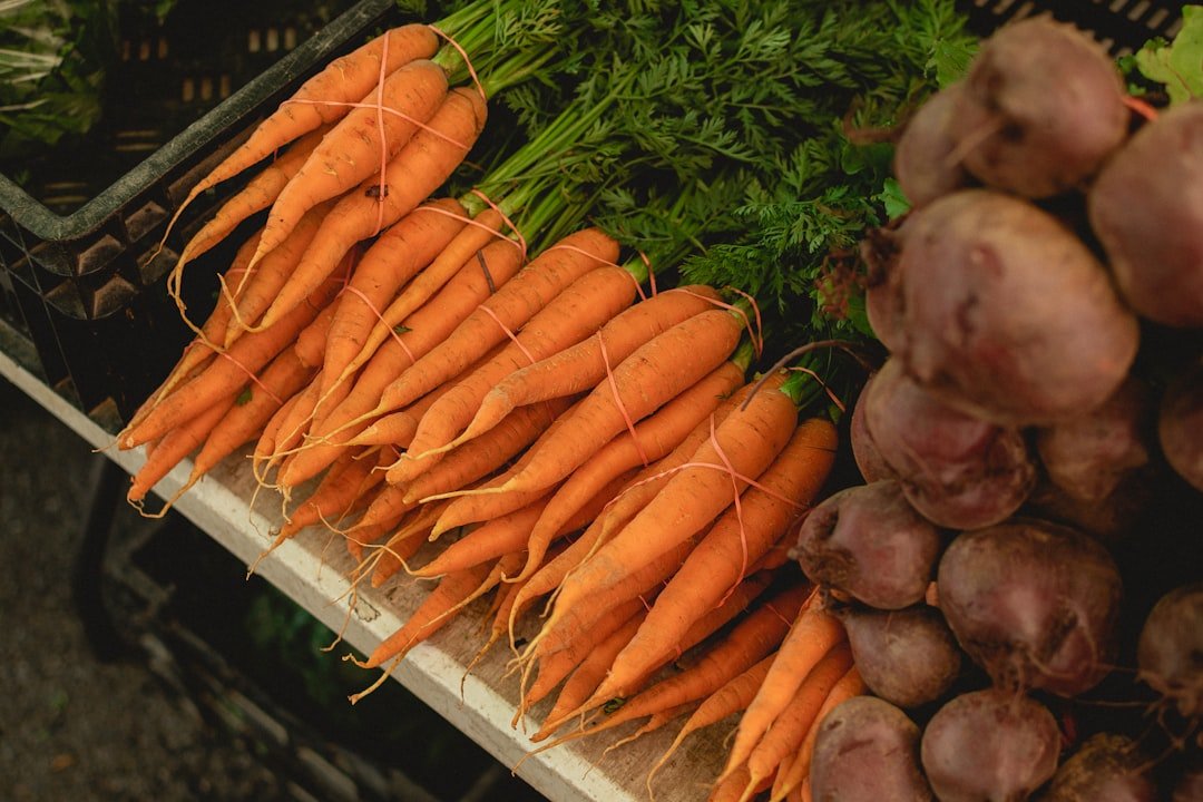 Photo carrot - root vegetables